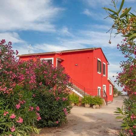 Agriturismo L'Istrice Di Gio 몬탈토디카스트로 외부 사진