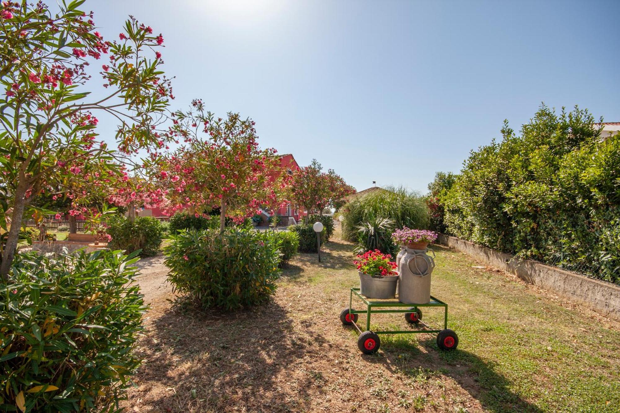 Agriturismo L'Istrice Di Gio 몬탈토디카스트로 외부 사진